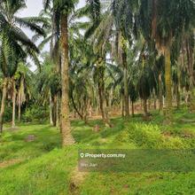 Residential Development Land