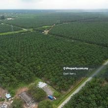 Kuala Selangor Kampung Kuantan Agricultural Land 5acre For Sale