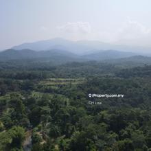 Batang Kali Rening Rasa Selangor Freehold Agriculture Land For Sale