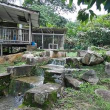 Beautiful Land With Two Small River Janda Baik Pahang
