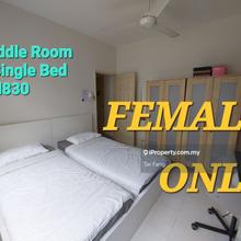 Rooms to let