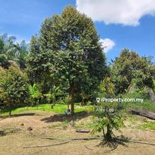 Durian Farm Land Water and Electricity 9 Acres Sungai Klau Raub Pahang