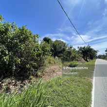 1.9acre Road Frontage agriculture land near Pantai Batu laut
