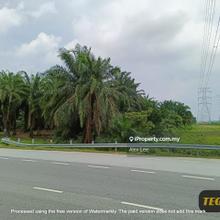 Facing Main Road Olak Lempik Banting 15 Acres Freehold Agri Land