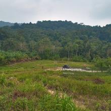 Land For Sale Slim Village Slim River Behrang Ulu Tanjung Malim 