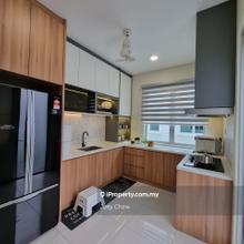 Eco Forest, Ebony lane, Eco Hill, Eco Majestic, Diamond city