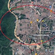 Matured Development Land, Delima, Jelutong