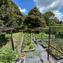 Bunglow house with huge land for sale at seremban 