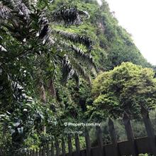 Agriculture land for Sale