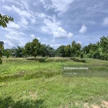 5.1 Acres Freehold Durian Farm Flat Land Karak Bentong