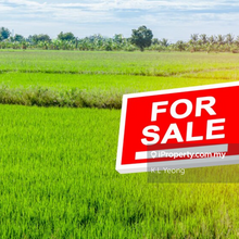 Johan Setia agriculture zoning commercial facing main road for sale