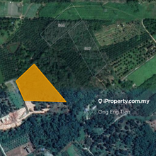 3.81 Acres of Agricultural Land Kalumpang Tanjung Malim Selangor
