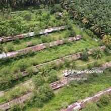 Agriculture land for Rent
