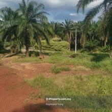 Segamat Agricultural Land