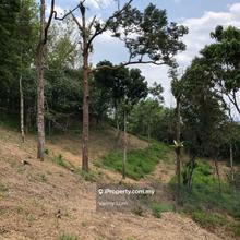 Tapak Cadangan Batang Kali Freehold Agriculture Land With Access 