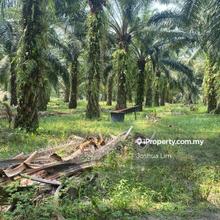 Sungai Kecil, Agricultural Land For Sale