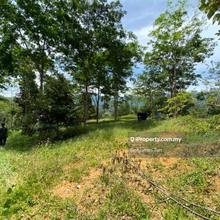 Agriculture Land for rent in Balakong Jaya