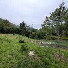 3 Acres Freehold Farm Facing Mainroad Kampung Kenaboi Kampung Kongkol