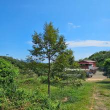 Alor Gajah Freehold 17ac Agriculture Land with Durian Tree For Sale