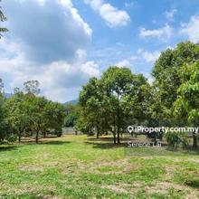 Durian Farm at Broga for sale