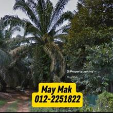 Freehold Agriculture Land Jasin Rim Melaka For Sale 