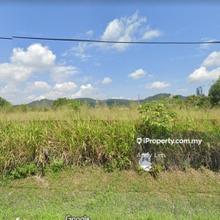 Jalan Sungai Lalang Agriculture Land
