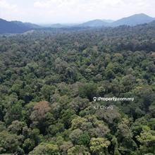Agricultural Land for Sale In Pahang!