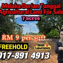 Melaka Durian Tunggal Freehold Agricultural Land For Sale