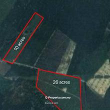 Jasin Melaka, 36 acres Musang King & Black Thorn Durian Farm For Sale