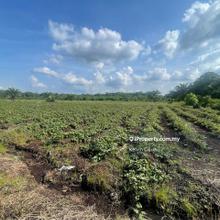 Agriculture land for Sale