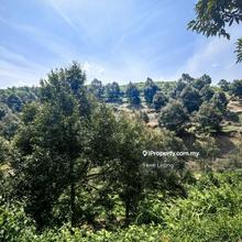 25 acres Bentong Kg Benus Matured Mk Durian Land For Sale