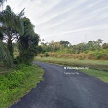Agricultural Land Padang Endau Johor
