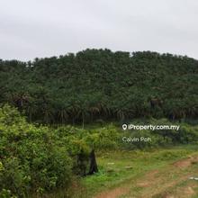 Freehold Agricultural Land Durian Orchard Linggi Negeri Sembilan
