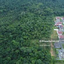 Tanah Pertanian sesuai untuk Projek Perumahan di Jenderam Sepang