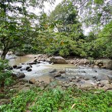 Agriculture land for Sale