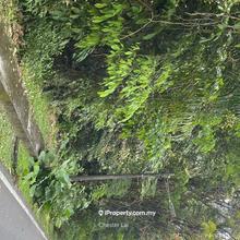 Agriculture land for Sale