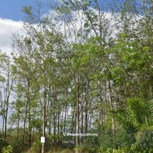 Jasin, freehold 4.272 acres rubber trees agriculture land for sale