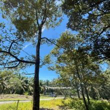 Api-api pontian agriculture land for sale