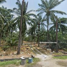 Large Industrial Land @ Kawasan Perindustrian Valdor for Sale