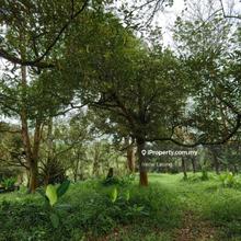 4.149 ac Karak near Kolej Komuniti Btg Rubber & Durian Land For Sale
