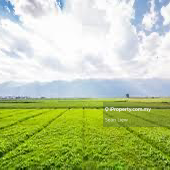 Negeri Sembilan Labu Seremban Zoning Residential Land For Sale