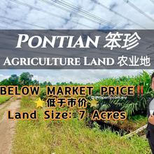Pekan Nanas Pontian Agriculture Land For Sale