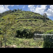 9 Acres Durian Farm 250 Matured Trees Musang King Black Thorn