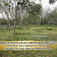 Pusing Perak 2 Acre Freehold Agriculture Land For Sale