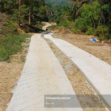 Bentong, Pahang Musang King Durian Orchard For Sale