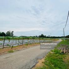 Paya Rumput 14 acres Freehold Land For Sale