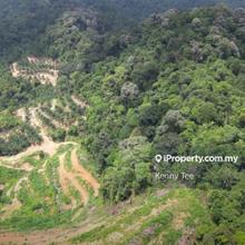 Hilltop agri land great lake and town view sale