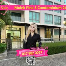 Masai Molek Pine 3 Condominium Renovated 2bed with Parking Lot