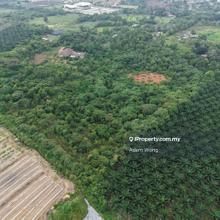 Freehold Non Bumi Lot Vacant Agriculture Land Town Area Taman Ria Jaya