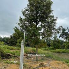 Agriculture land for Sale
